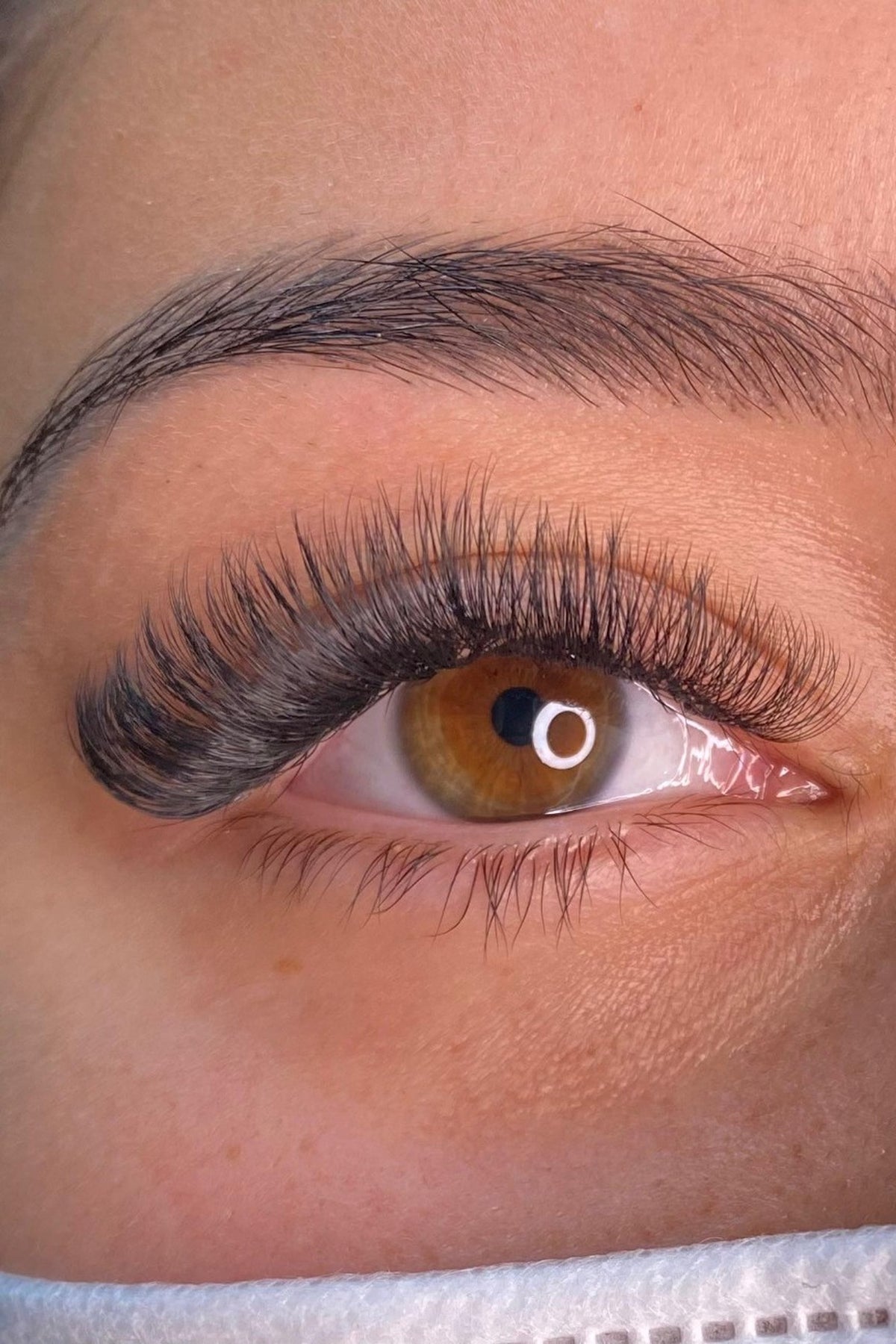 S'LASHES Premade Fans - 144 Fans pro Box