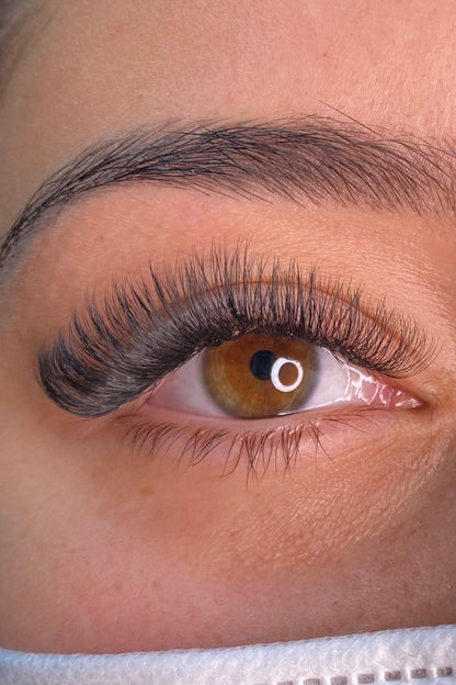 S'LASHES Premade Fans - 144 Fans pro Box
